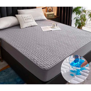 Ga Chống Thấm Cotton Cao Cấp + Gối