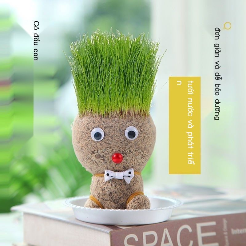 Búp Bê Đầu Cỏ Giảm Sản Phẩm Mới Dành Cho Người Yêu Cây Trồng Giúp Giảm Stress