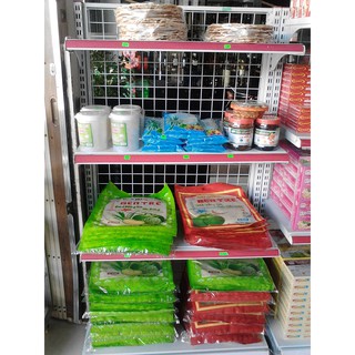 Bánh phồng sữa Bến Tre - Nước cốt dừa