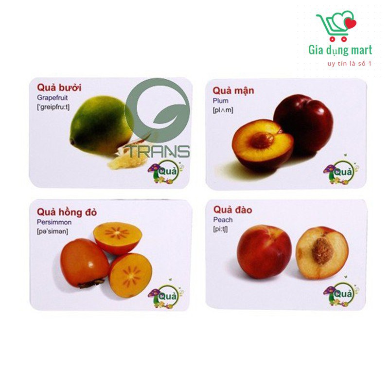 Bộ thẻ học thông minh 16 chủ đề