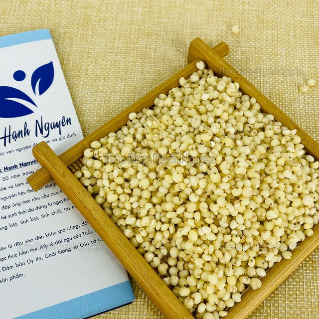 100g Y Dĩ (Ý Dĩ Nếp, Hạt Bo Bo) | BigBuy360 - bigbuy360.vn