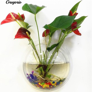 Chậu Cây Cảnh Treo Tường