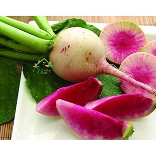 Hạt giống Củ cải Cherry trắng ruột đỏ