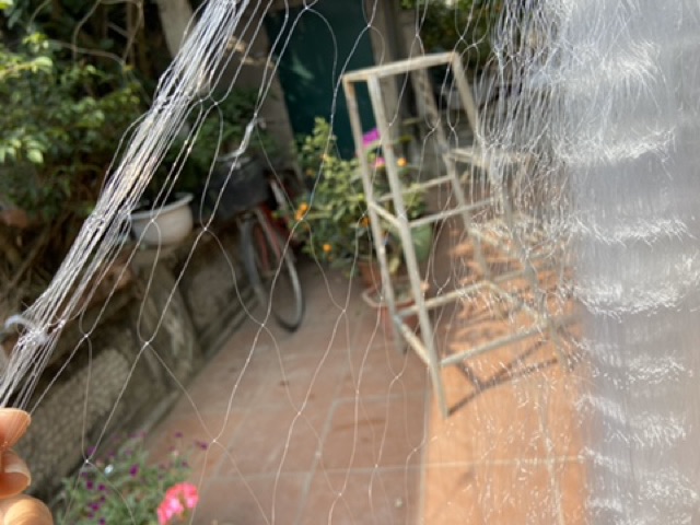 Lưới bén cao 1m2 dài 80m chuyên đánh cá chép, trôi , trắm đen, trắm cỏ.....