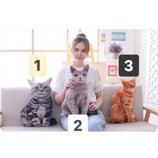 Gối ôm 3D hình Mèo_gấu bông, quà tặng