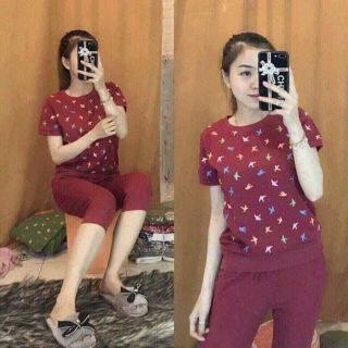 combo 3 bo nu tri gia 200k chat cotton day dan bao dep fonm 55 kg tro xuong hayx dat hangf nhang tren shoppe