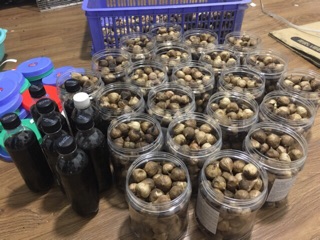 Tỏi đen 1 nhánh nhà làm(500g)