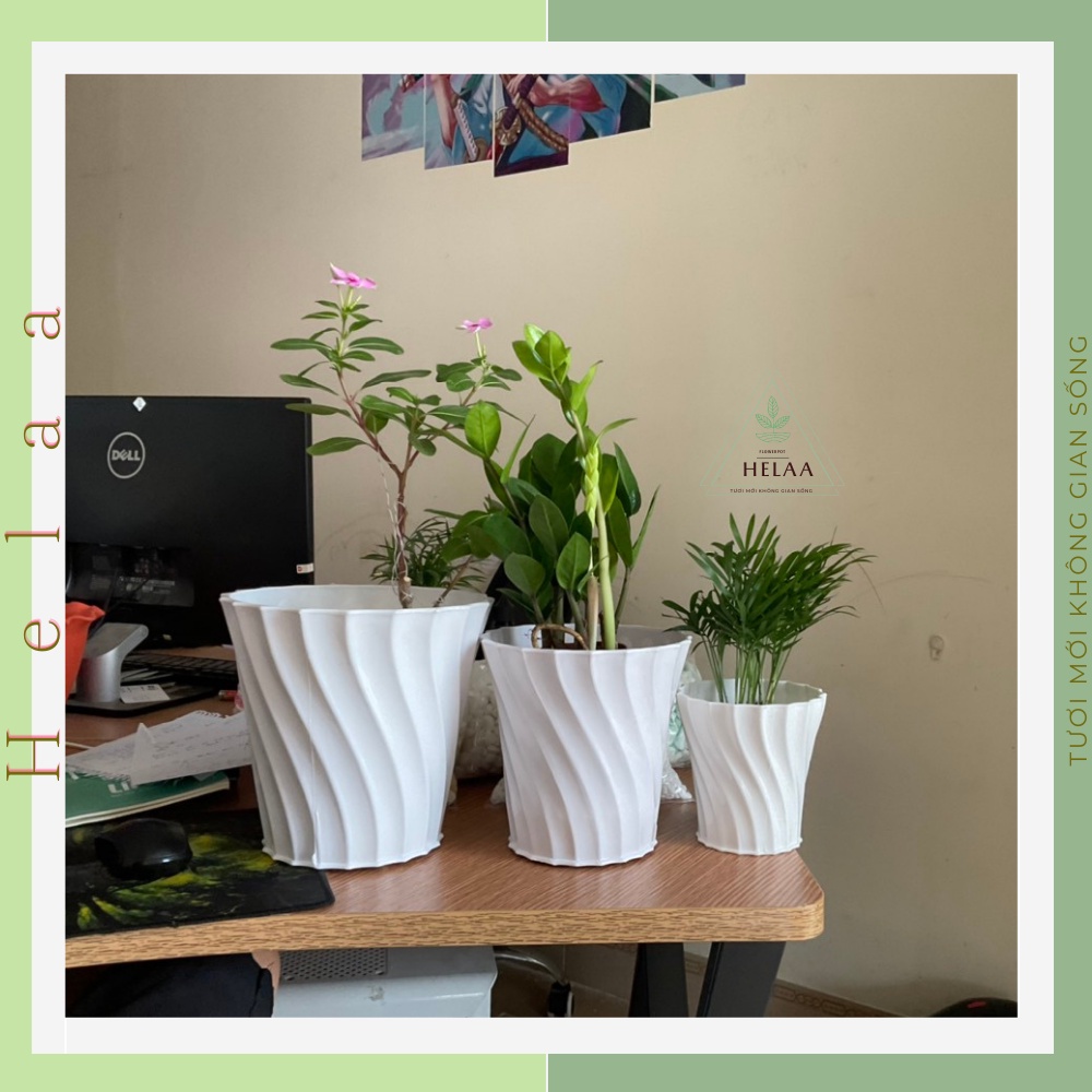 Chậu Nhựa Giả Sứ Khía Xoắn, Chậu Trồng Hoa, Sen Đá, Xương Rồng, Tiểu Cảnh Để Bàn Làm Việc Văn Phòng - Mẫu Mới Đủ Size
