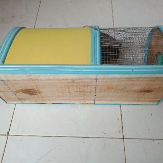 Bẫy chuột thông minh - loại vừa