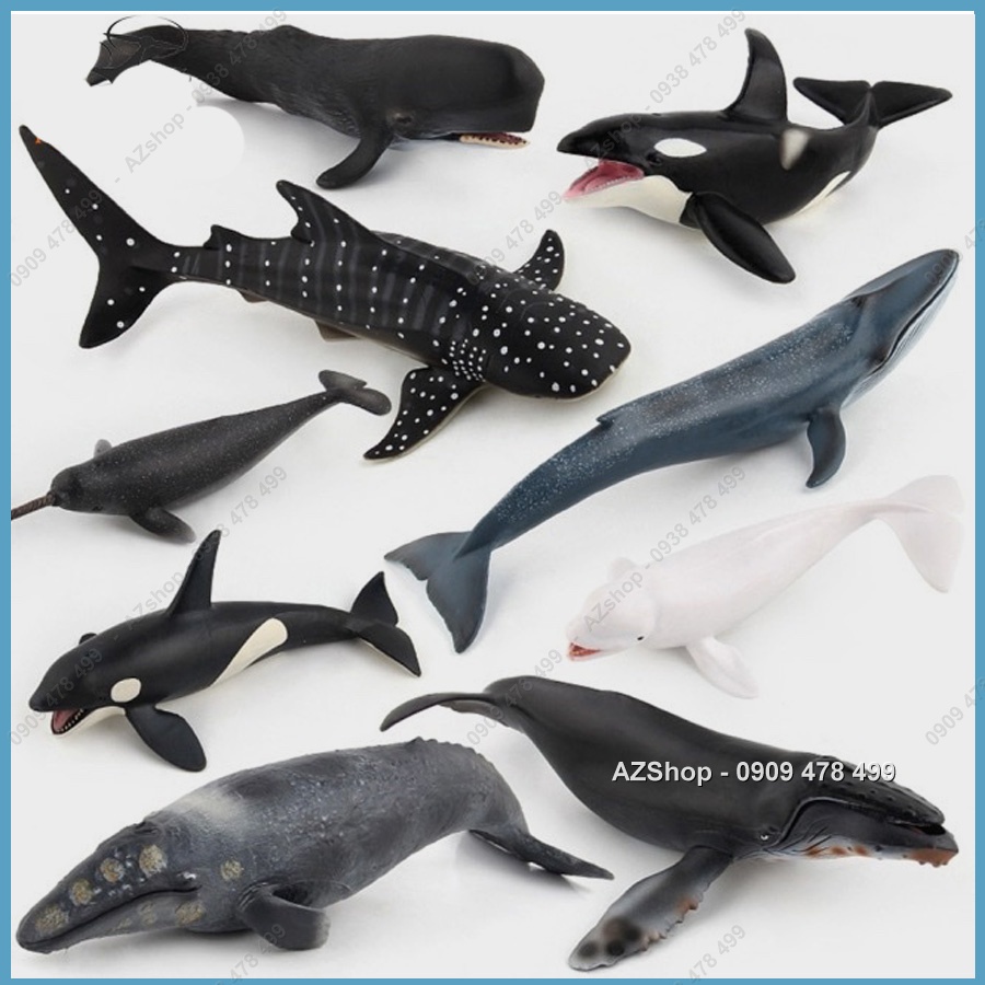 Mô Hình Họ Hàng Nhà Cá Voi Đại Dương - Dài 20-28cm