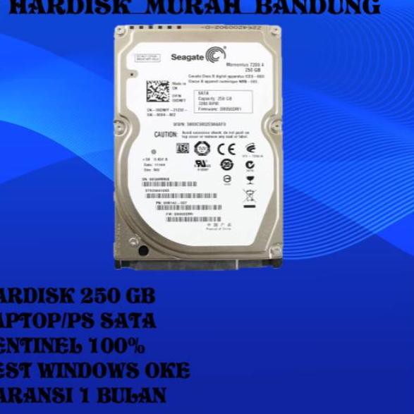 Ổ Cứng Laptop 250 Gb | BigBuy360 - bigbuy360.vn