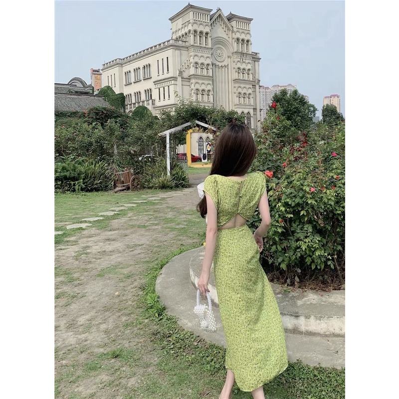 ĐẦM HOA NHÍ XANH LÁ HÌNH THẬT