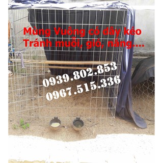 Mùng gà vuông kích thước 1mx1mx1,2m | Mùng vuông có dây kéo giá rẻ | Mùng gà nòi cho bội vuông | Màn vuông có dây kéo