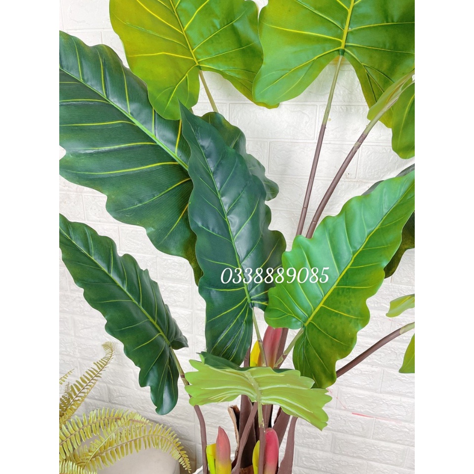 Cây giả-Cây Tai Voi Nam Phi loại cao cấp ,decor cực đẹp