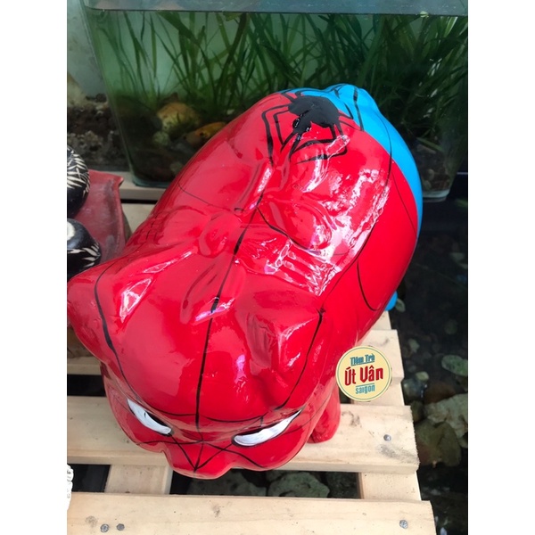 Heo đất Người nhện size L