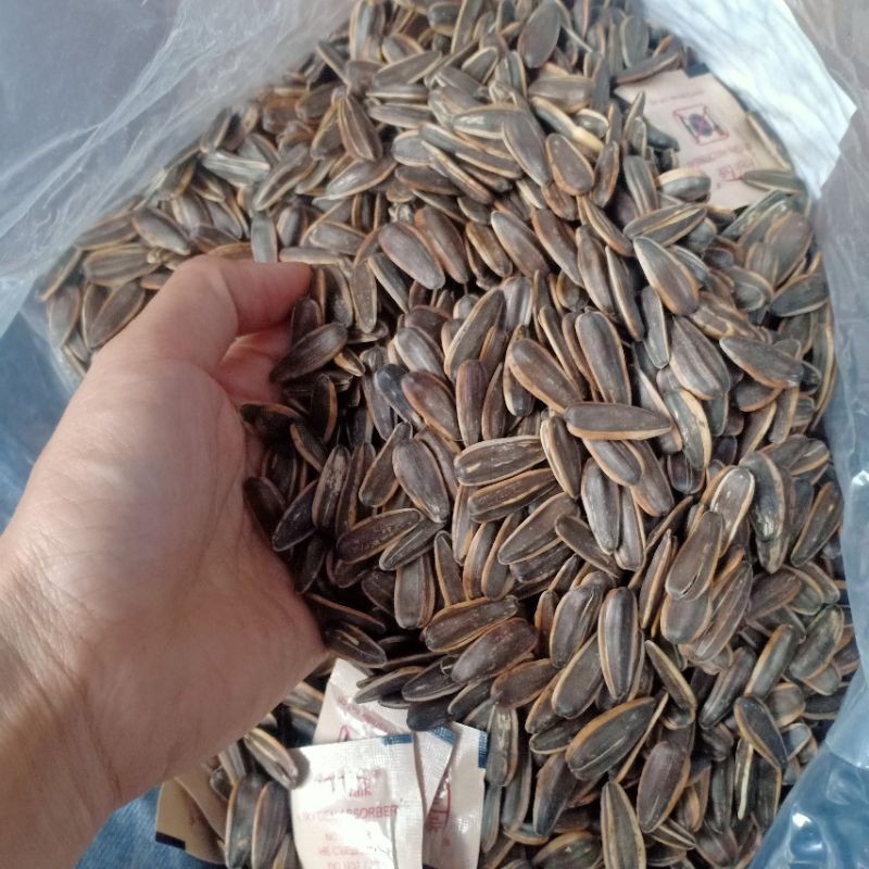 DATE MỚI_HƯỚNG DƯƠNG CHACHEER BAO 5KG ÉP CHÂN KHÔNG