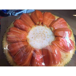 cây giống mít thái