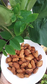 Hạnh nhân rang bơ