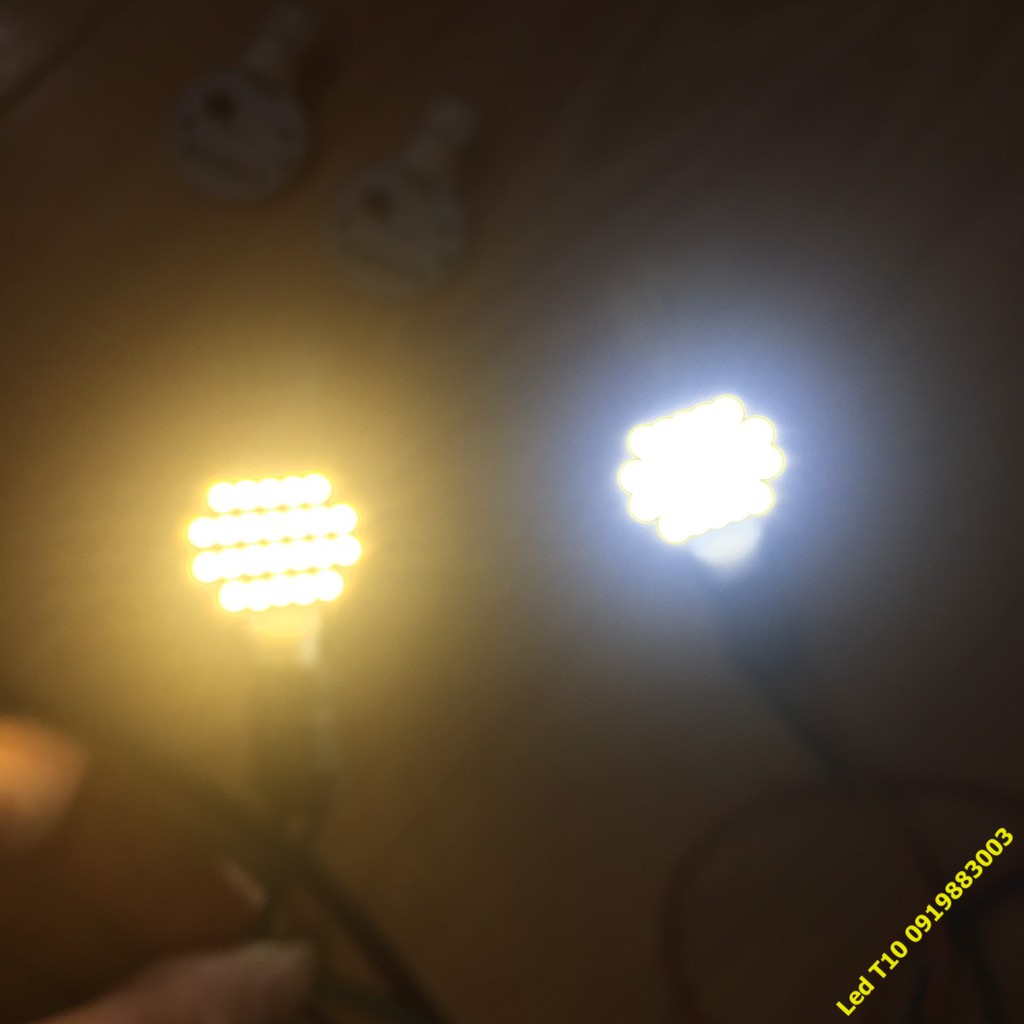 Led T10 1 mặt một mặt sáng cho biển số, cửa ô tô, trần ô tô