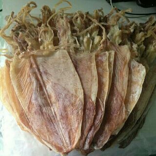 Mực loại 16 con 500gram