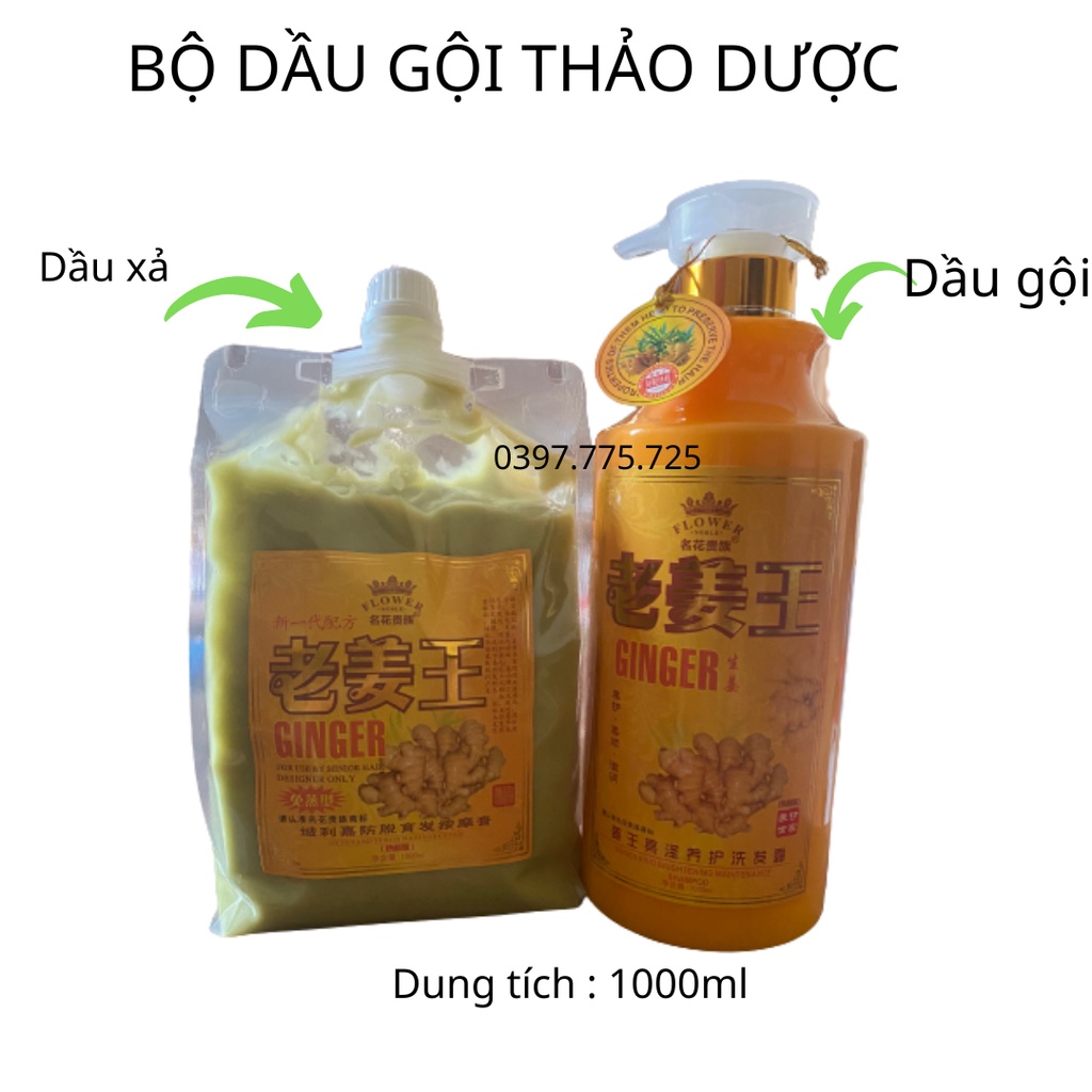 Cặp dầu gội và xả gừng dưỡng sinh