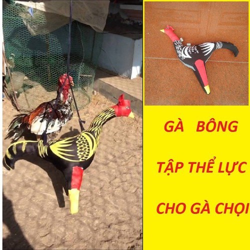 Gà vải tập lực cho gà chọi (loại tương đương gà thật 2kg)