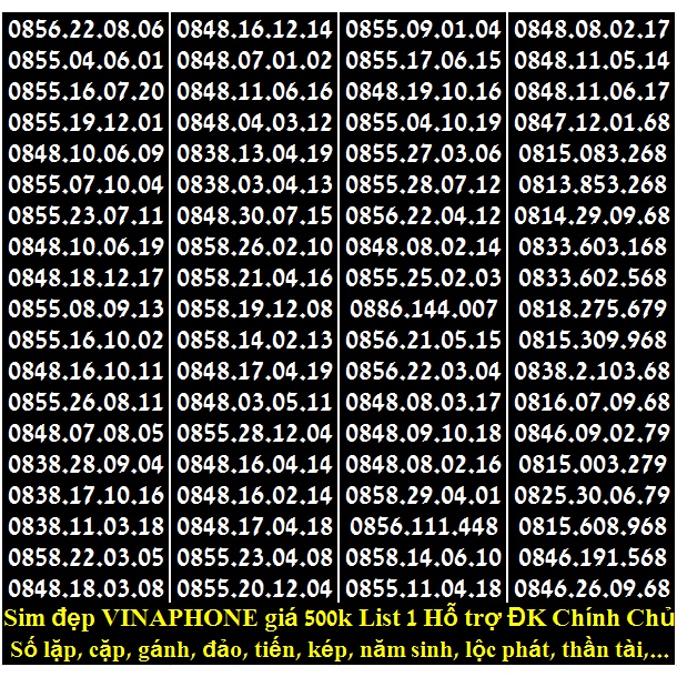 SIM ĐẸP VINA ĐỒNG GIÁ 500k LIST 1 HỖ TRỢ ĐĂNG KÝ CHÍNH CHỦ MIỄN PHÍ ĐƯỢC HƯỞNG NHIỀU GÓI KHUYÊN MÃI CỦA MẠNG VINAPHONE