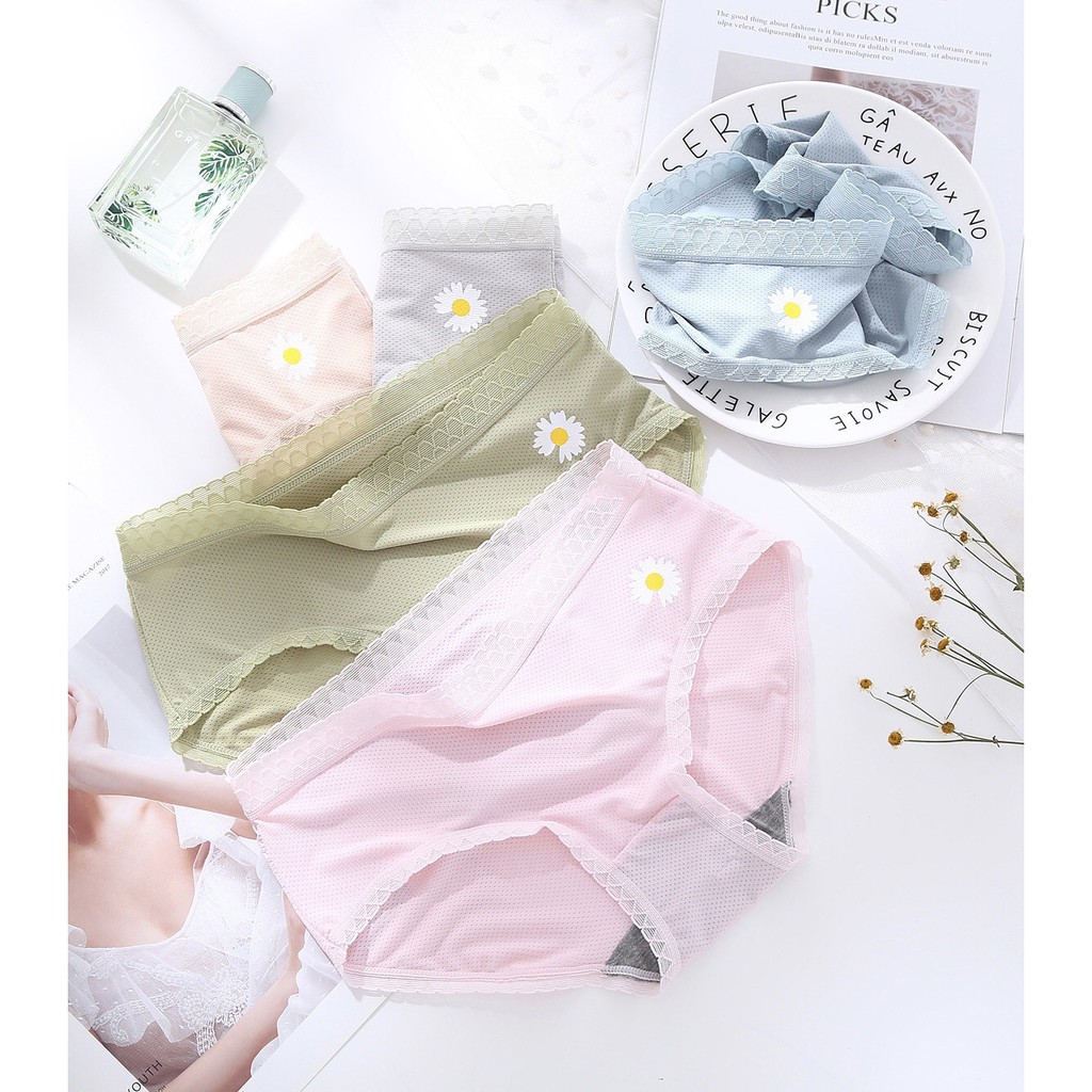 Quần Lót Nữ Su Đúc Thông Hơi Hoa Cúc Kháng Khuẩn Túi Zip Riêng Biệt - Quần Lót Nữ AirBra Kháng Khuẩn | BigBuy360 - bigbuy360.vn