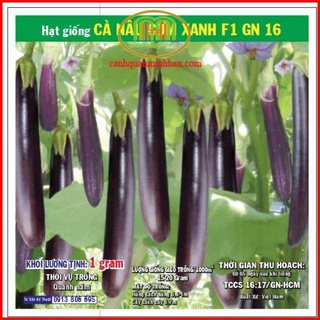 Hạt giống cây cà nâu cà tím trái dài cơm xanh 1gr cây màu trồng ăn trái