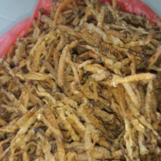 Sá sùng con nhỏ 1kg