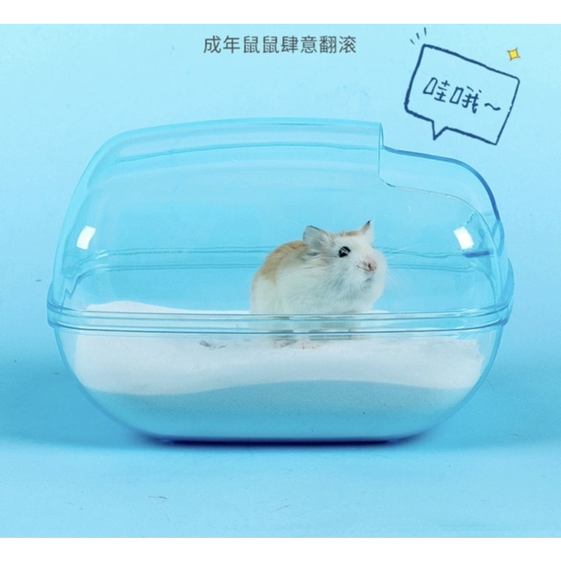 Nhà tắm cát trong suốt cho hamster. Nhà tắm cát mica Siêu To