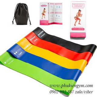 Bộ 5 dây kháng lực tập Gym, dây đàn hồi Miniband Tặng túi vải đựng + Sách hướng dẫn (Bảo hành 1 tuần)