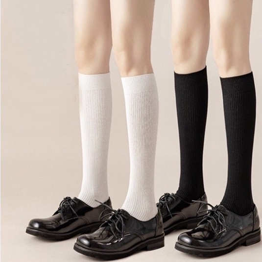 Tất cổ cao, tất bắp chân cotton mềm mại màu basic, tất dài đầu gối