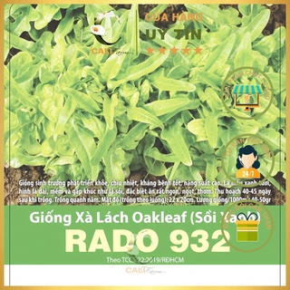 Hạt giống Xà Lách Oakleaf (Sồi Xanh) Rado 932 2gr