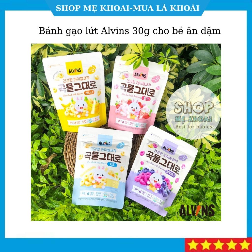 Bánh gạo lứt cho bé vị phô mai/ dâu/ việt quất/ chuối Alvins 30g