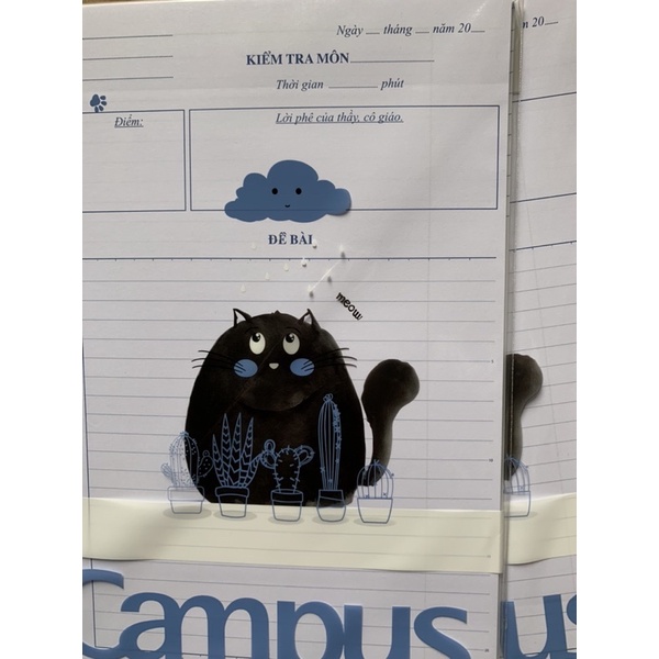 Giấy kiểm tra campus không chấm