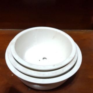 Chậu trồng sen đá