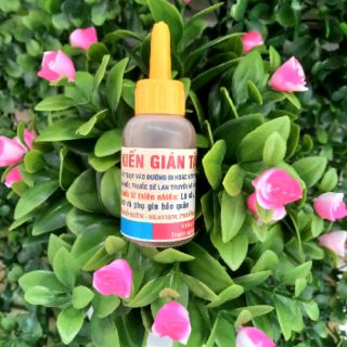 Thuốc diệt kiến gián tận gốc từ thiên nhiên