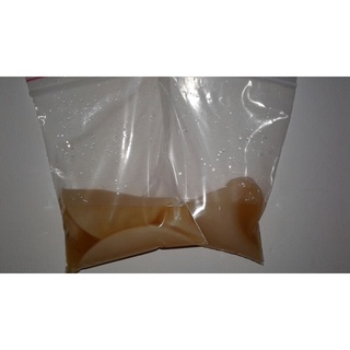Combo Scoby/Kombucha