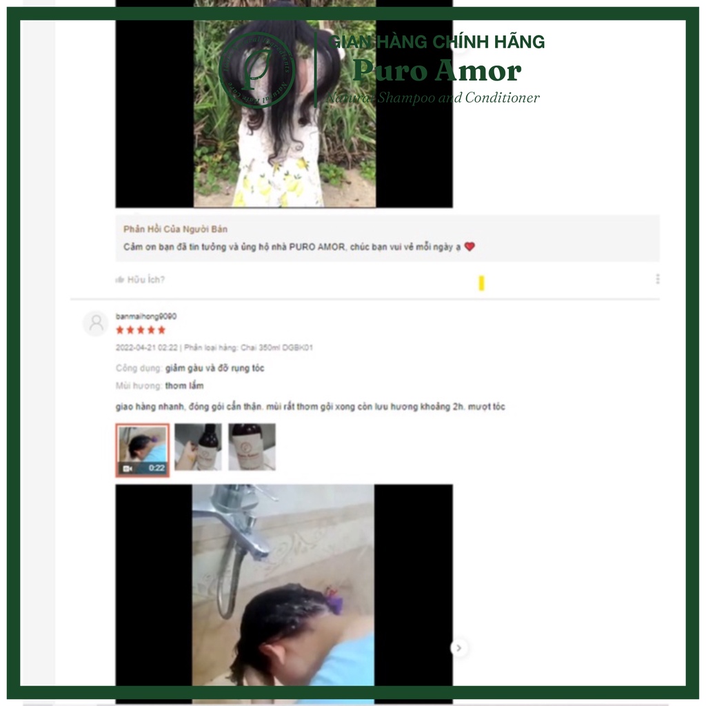 Dầu gội bồ kết cô đặc PURO AMOR dầu gội thảo dược giúp loại bỏ gàu, giảm rụng tóc 500ml #3