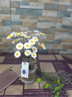 Lọ cắm hoa trang trí
