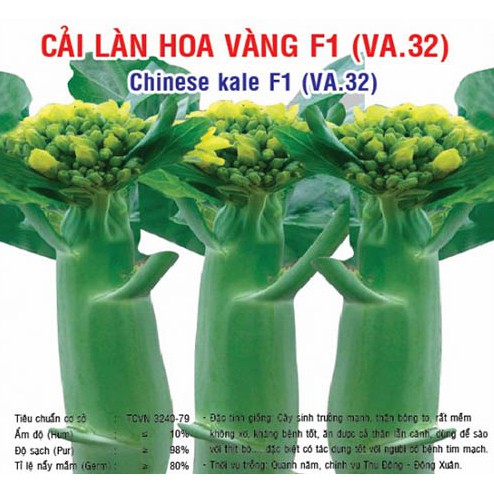 5gr hạt giống rau cải làn hoa vàng