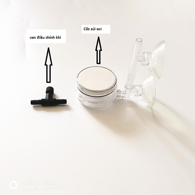 Cốc sủi oxi thế hệ mới thay thể được miếng gốm rất liện lợi- cốc sủi bổ sung khí oxi cho bể cá