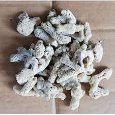 San hô vụn lọc nước bể cá cảnh,bể hải sản-Vật liệu lọc tuyệt vời cải tạo nước tốt, tăng PH cho hồ cá, bể cá