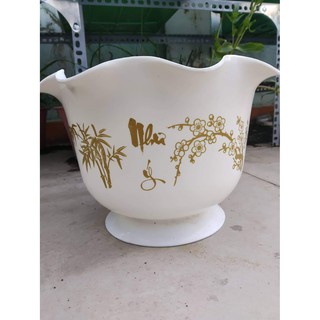 Chậu Như Ý Cát Tường