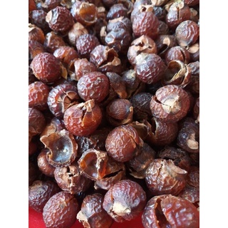 1 kg Bồ hòn tách hạt