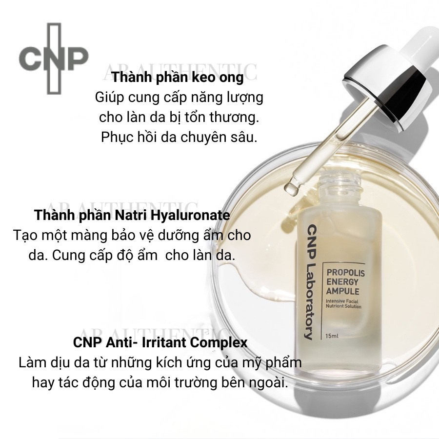 Gói sample Tinh chất keo ong phục hồi da CNP Laboratory Propolis Energy Ampule - AB Authentic