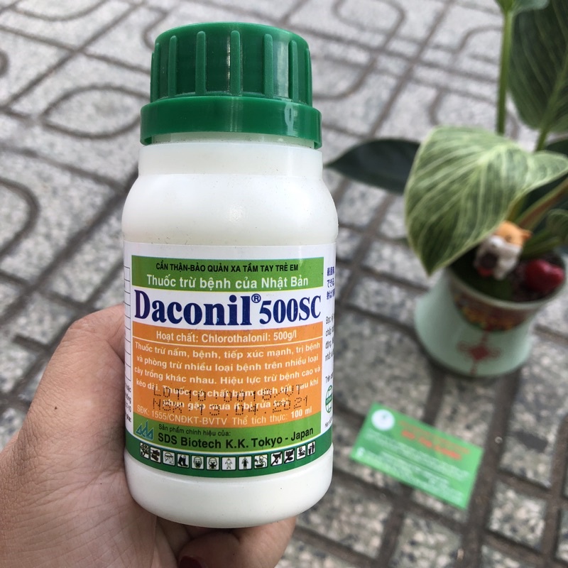 Daconil 500SC/100ml -Chế Phẩm của Nhật trừ Thán Thư ,Phấn Trắng, Đốm Lá