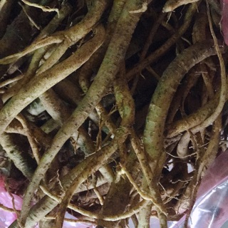 🍁☘️SÂM DÂY NGỌC LINH xô 5ky🌿🍁