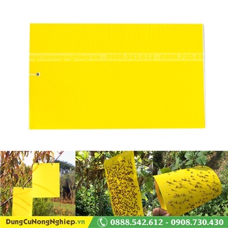 Bẫy màu bắt côn trùng ruồi côn trùng 15x20cm (5 miếng)